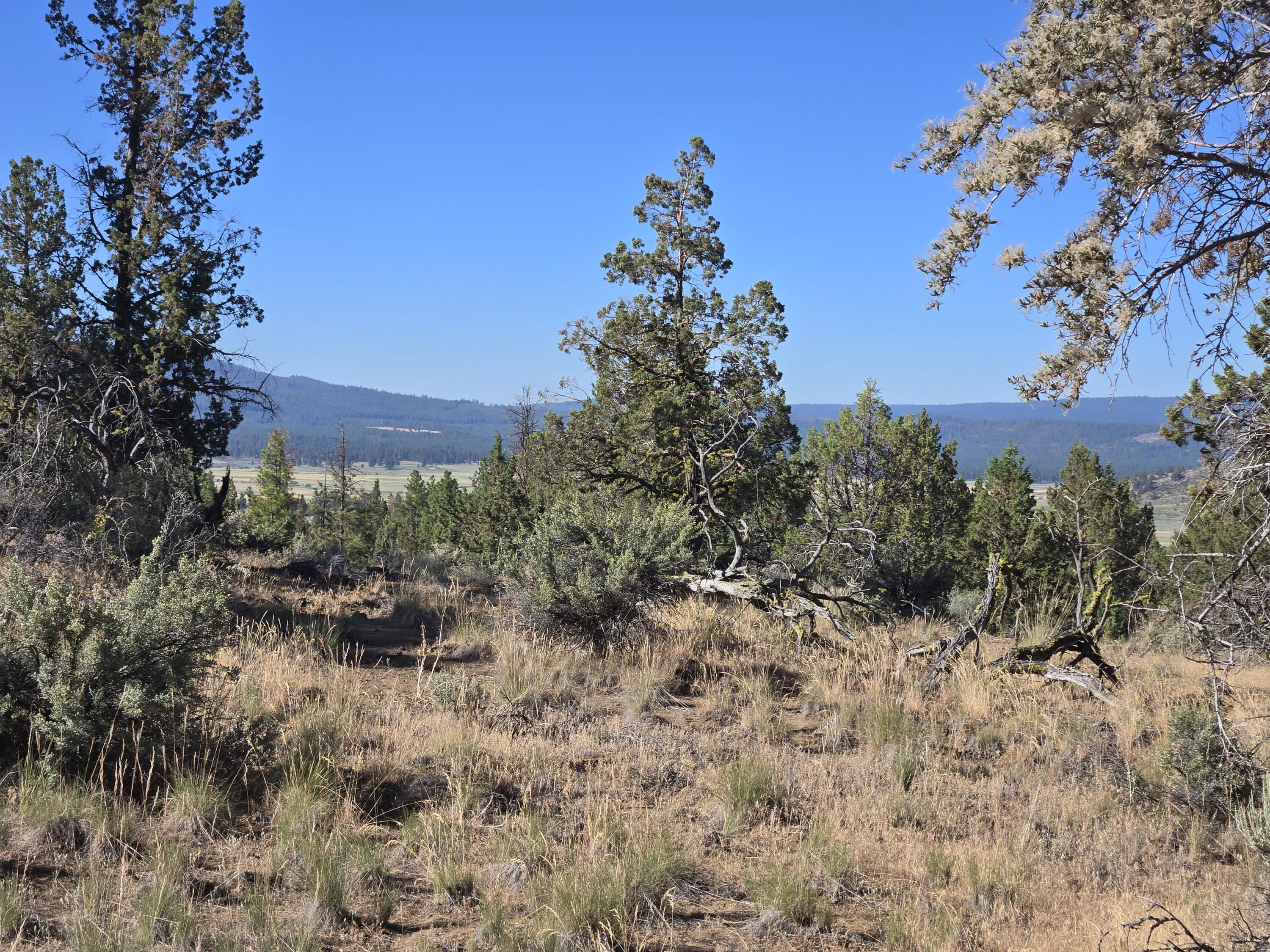 Klamath Falls Forest Estates -Hwy 66 Unit -Plat No. 1 - Land