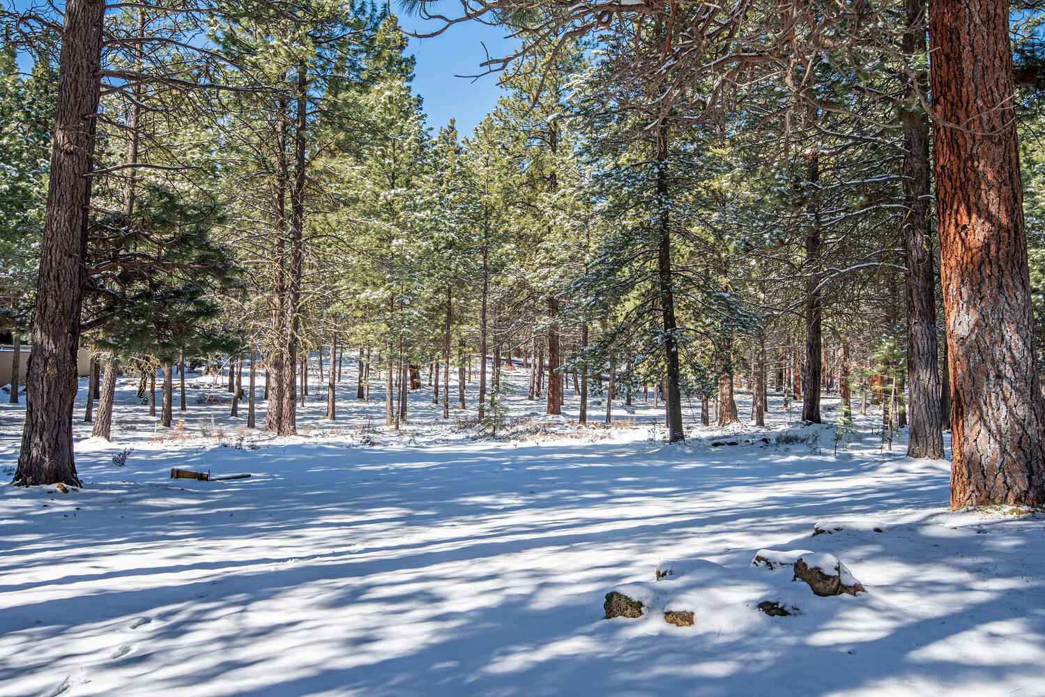 Black Butte Ranch - Residential