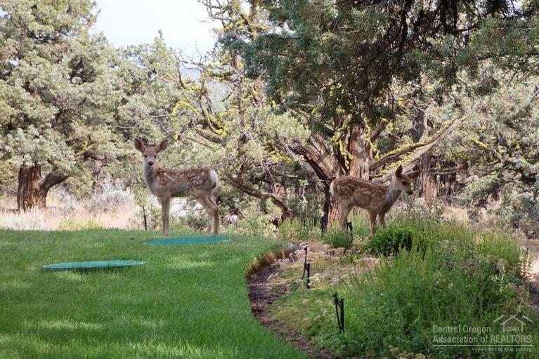 Whispering Pines - Residential