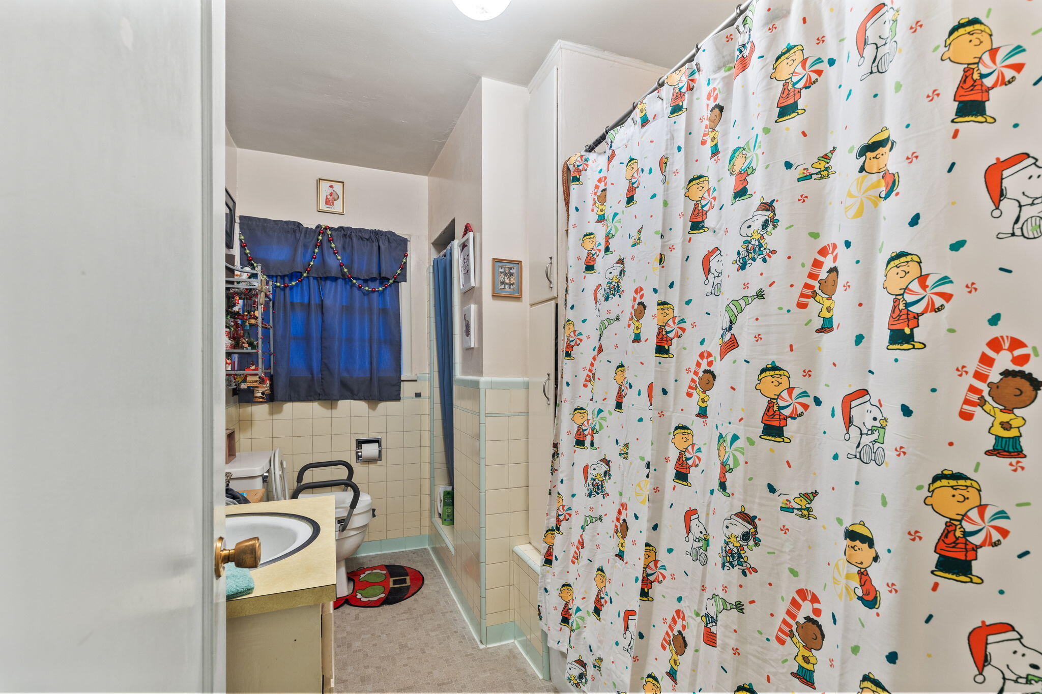 Snook Subdivision - Residential