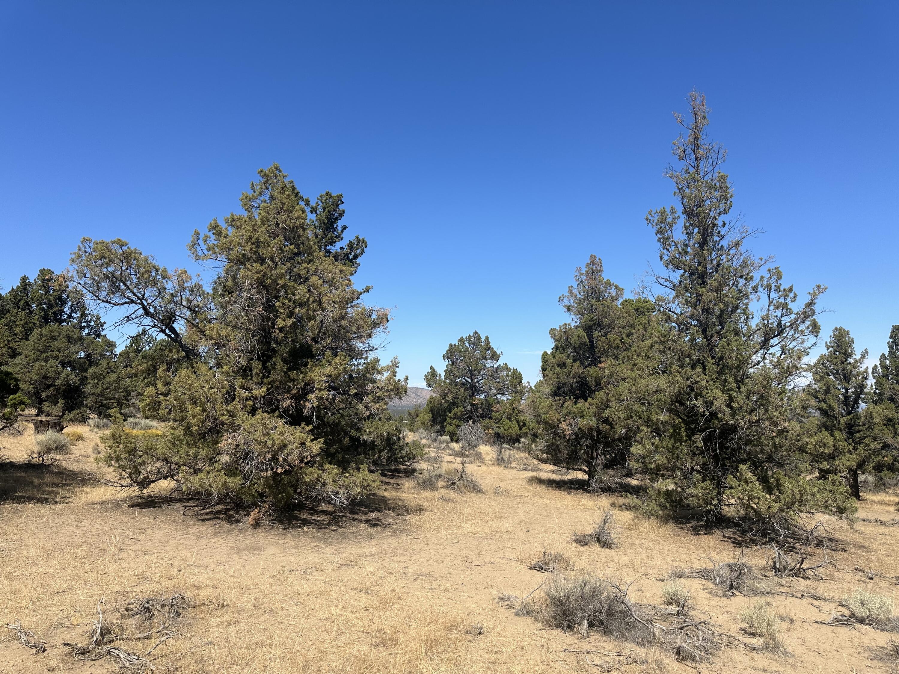 Whispering Pines - Land