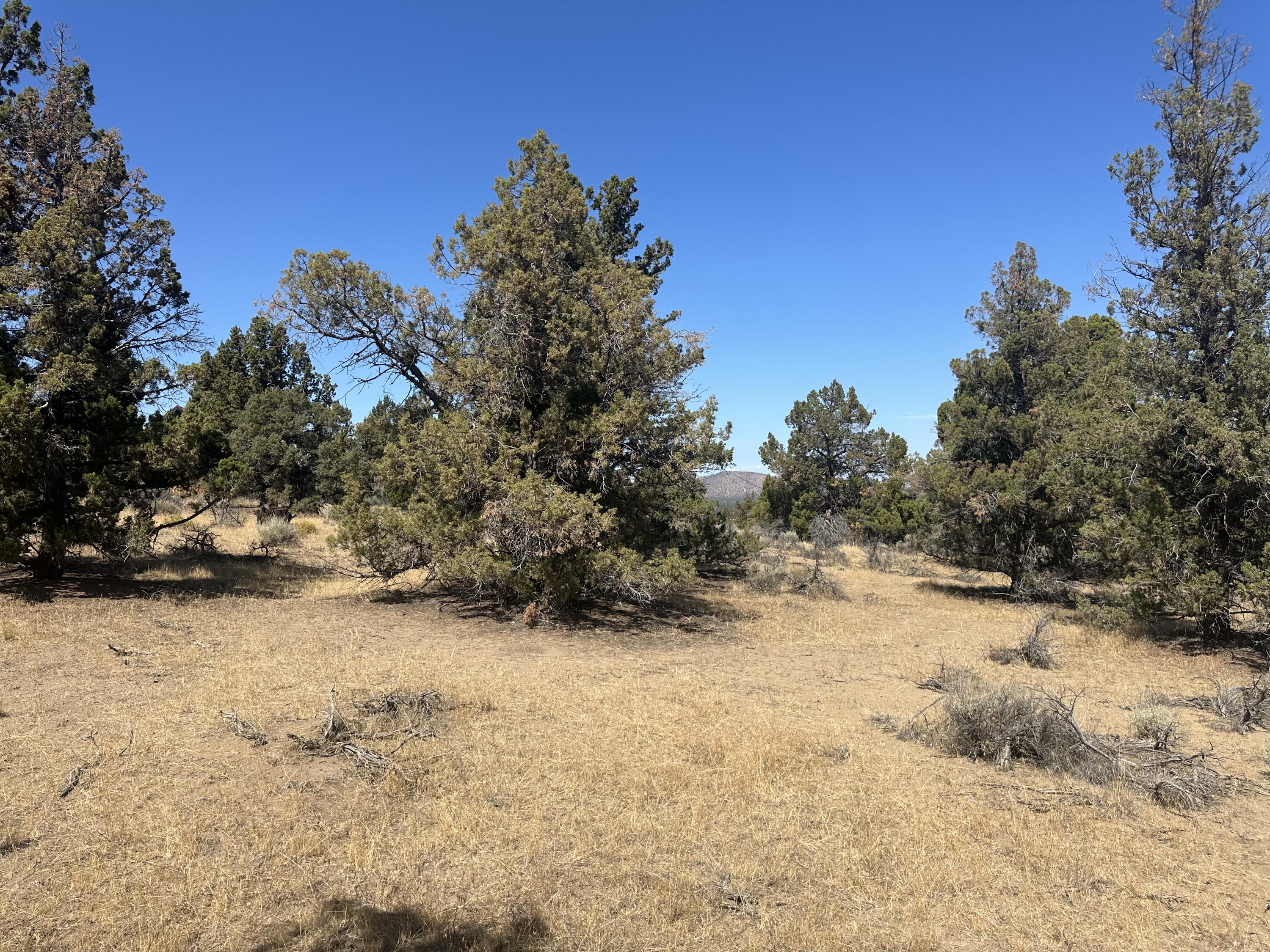 Whispering Pines - Land