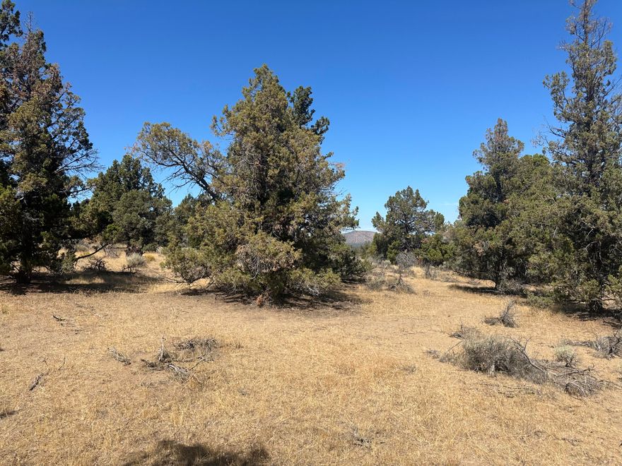 Discover the perfect opportunity at 21060 Arid Ave, Bend, OR. This expansive 6.95-acre property with RR10 zoning offers endless possibilities for development or personal use. 10 miles from the Bend airport. Centrally located to many hiking trails and outdoor recreation. Embrace the serene landscape and create your dream space today!