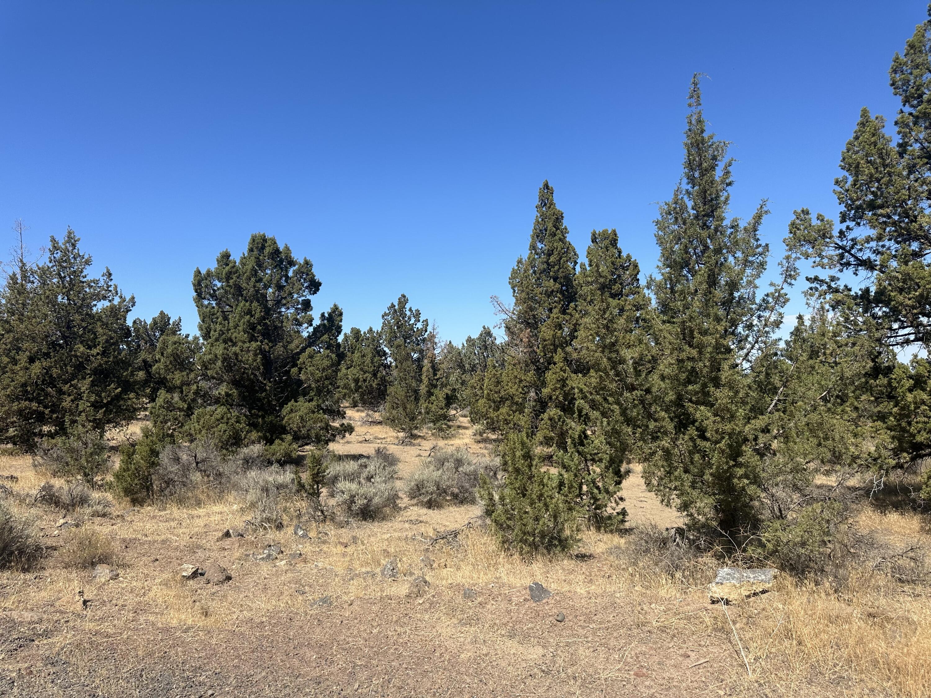 Whispering Pines - Land