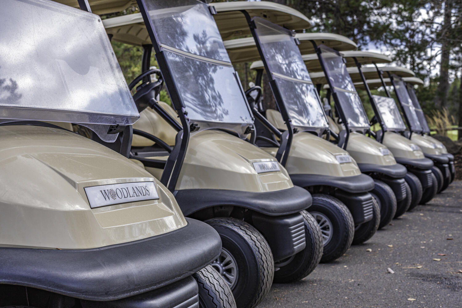 Fairway Crest Village - Residential