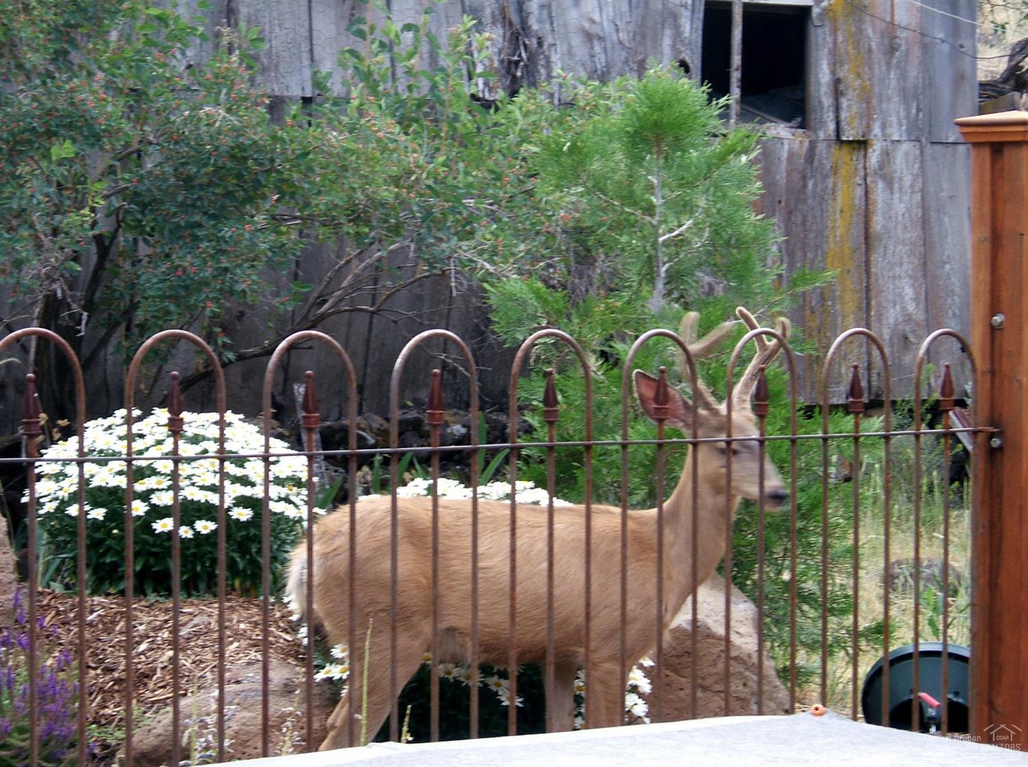 Aubrey Heights - Residential