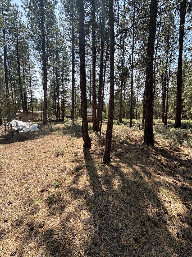 Deschutes River Acre - Land