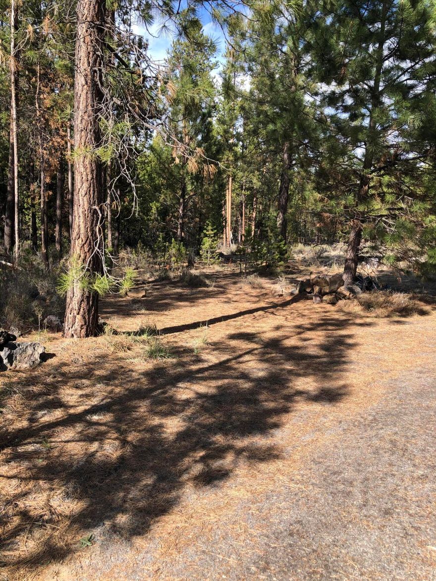 Peace and quiet among the pine trees.
Well in place no pump, temporary septic in place, feasibility test holes are dug. Electric on property, RV on property is of no value and included in the sale.