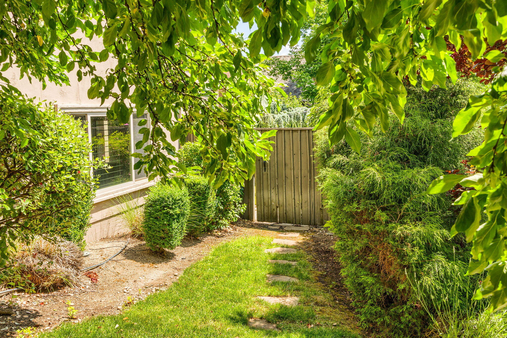 Forest Ridge At Vista Pointe Phase 6 - Residential