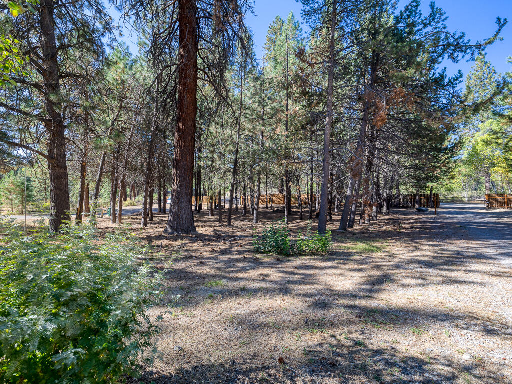 Winema Peninsula - Residential