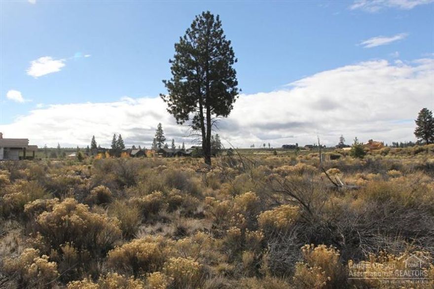 Simply one of the best values in west Bend. This homesite overlooks the 13th fairway of the award winning links-style course. An exceptional value for a golf course front lot in Tetherow. Purchase includes a golf membership at Tetherow if buyer wishes to be a golf member. Buyer can elect to be a social member as well. Please see LA or club for details.