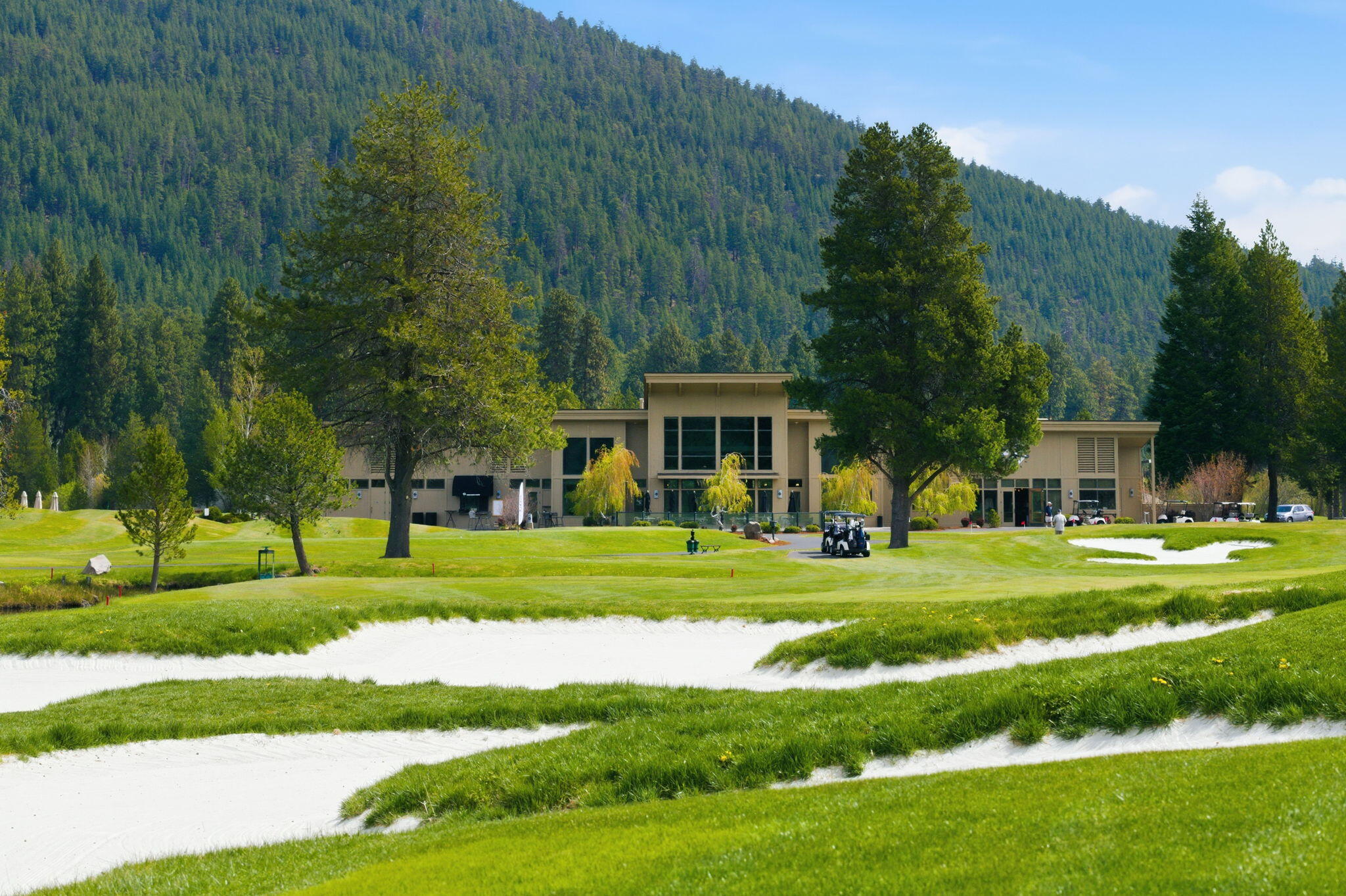 13400 Foxtail GCC102