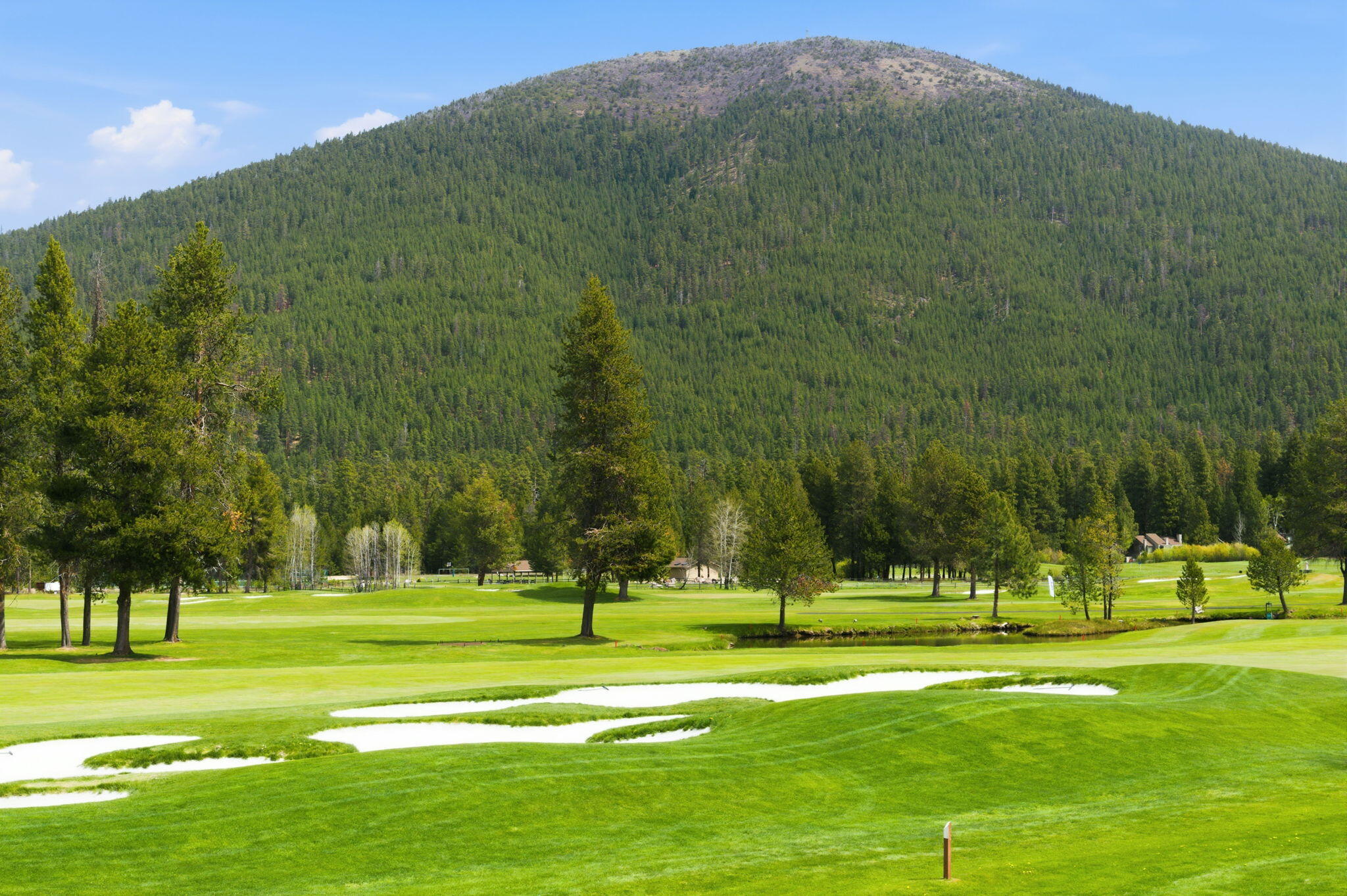 13400 Foxtail GCC102