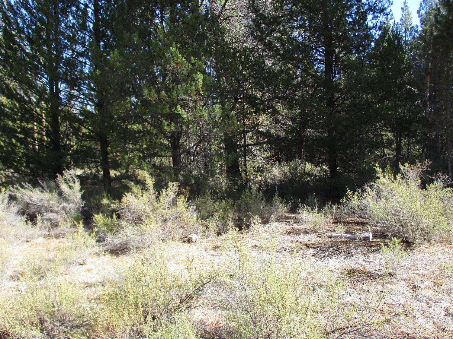 Sprague River Pines - Land