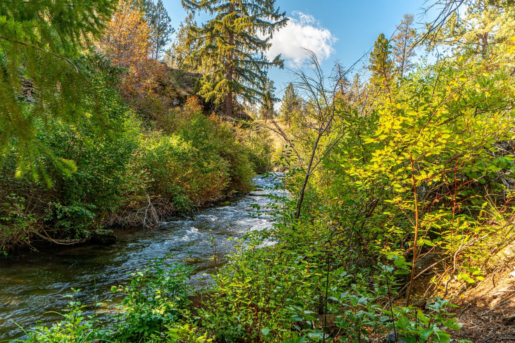 Lakes At Tanager PUD - Residential