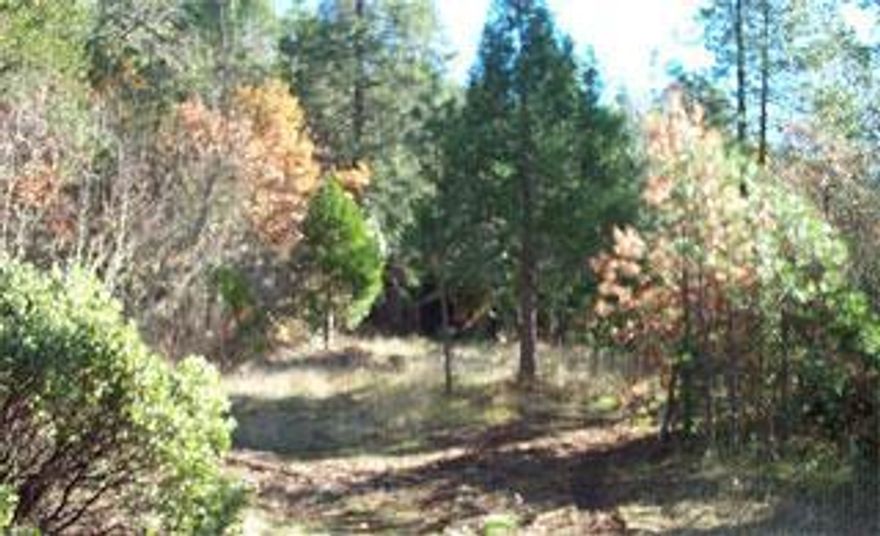 2 BUILDINGS SITES. UPPER ONE VIEWS ILLINOIS VALLEY, CIRCULAR DRIVEWAY, 308 SF UTILITY SHED WITH CARPORT, 1000 FT OF FRONTAGE ROAD, NEW 5 GPM WELL, POWER & PHONE TO SHED. LOTS OF EVERGREEN TO FEEL SECLUDED. MOBILE OK. NEW HOME SITE TO RIGHT OF DRIVEWAY. LAND IS ON MOUNTAIN SIDE AND HAS A 45% ANGLE SLOPE. 1000 FT FRONTAGE. HAS BEEN SELECTIVELY LOGGED.