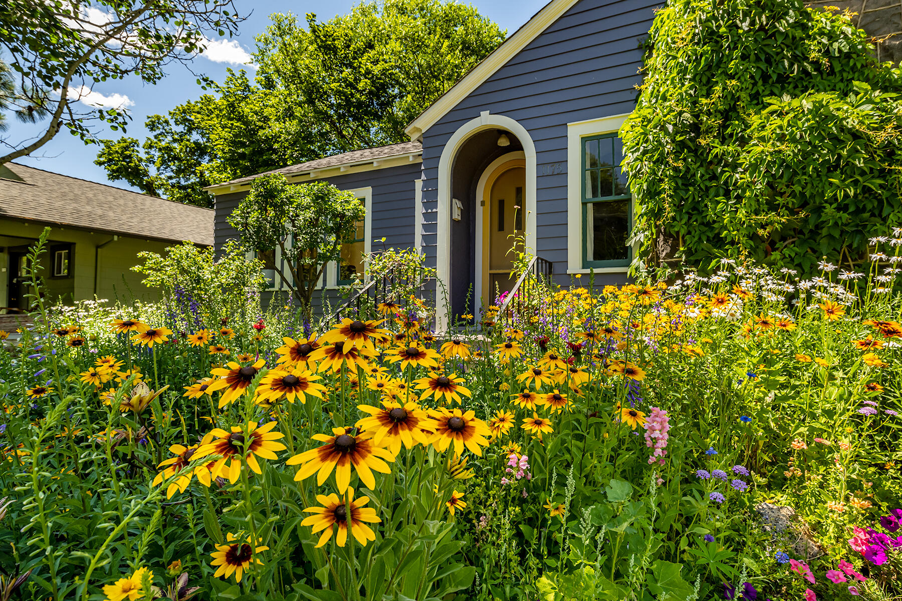 Boulevard - Residential