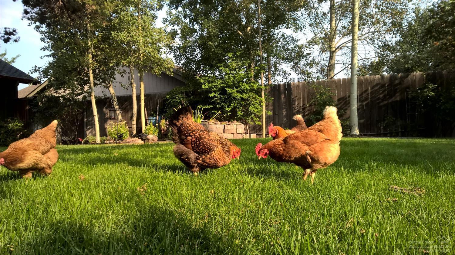 Mason Estates - Residential