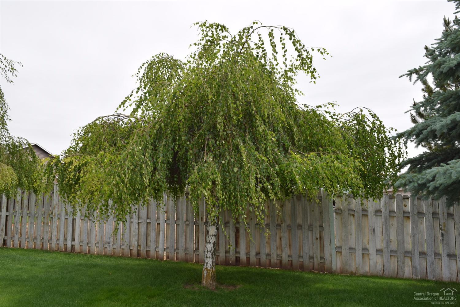 NorthR - Residential