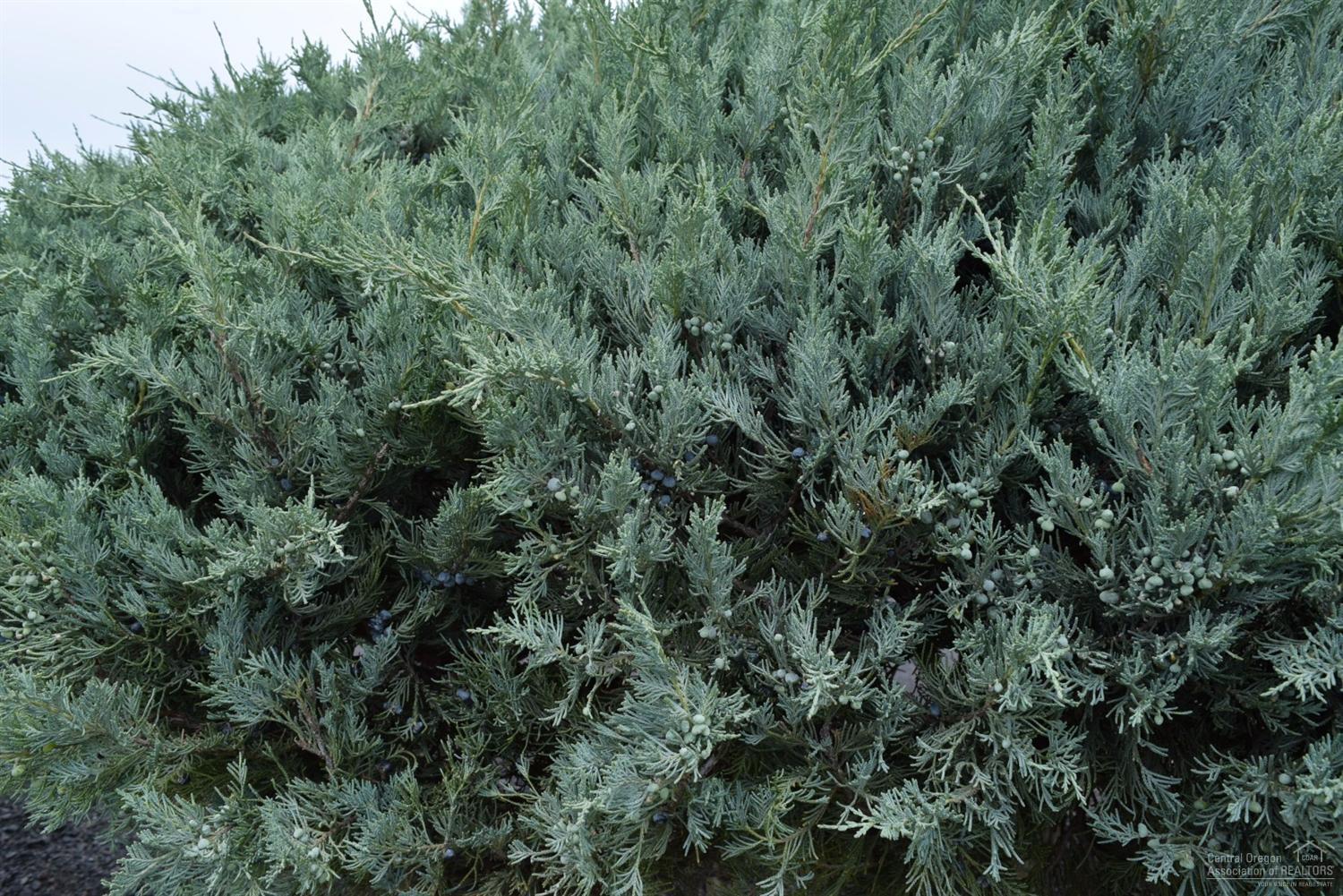 NorthR - Residential