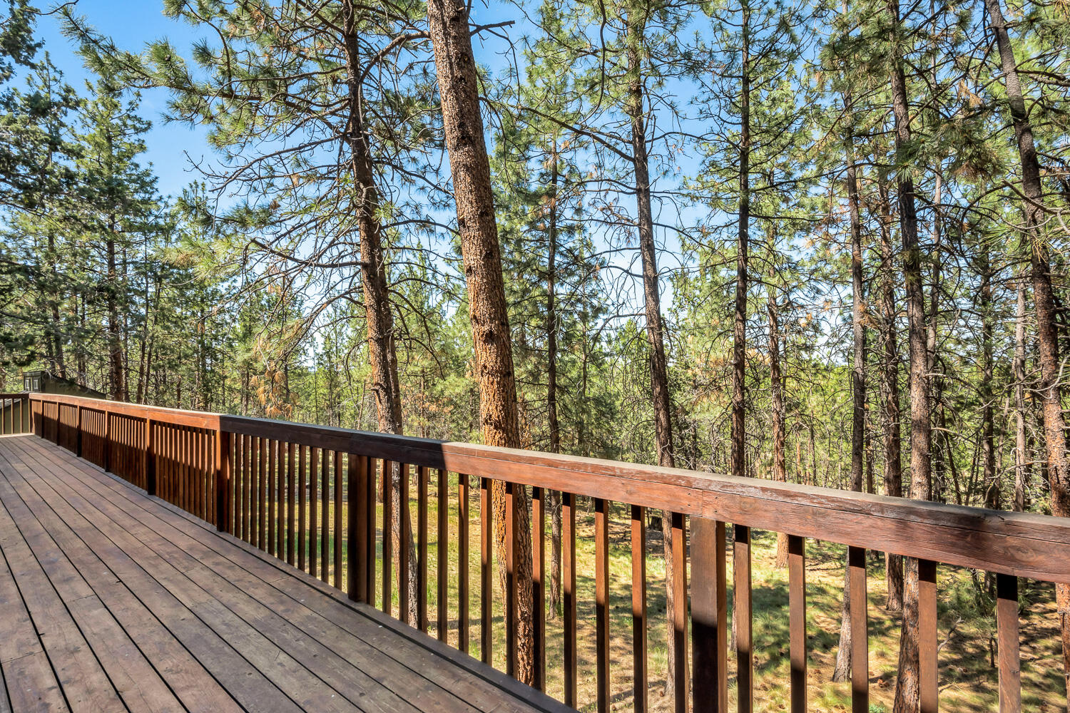 Saddleback - Residential