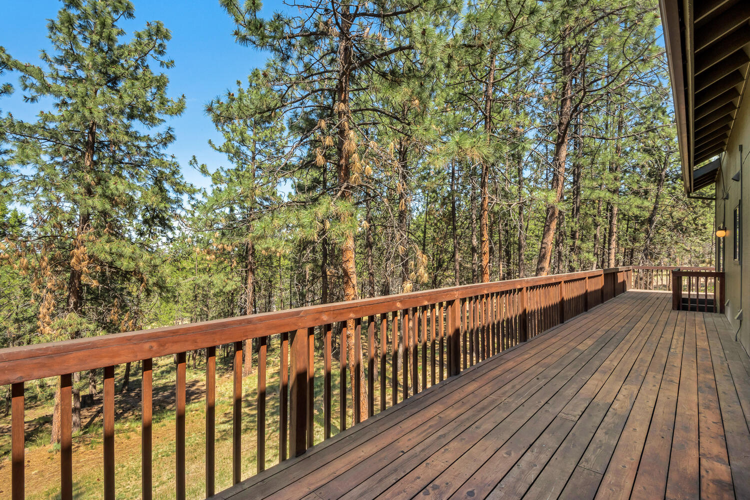 Saddleback - Residential