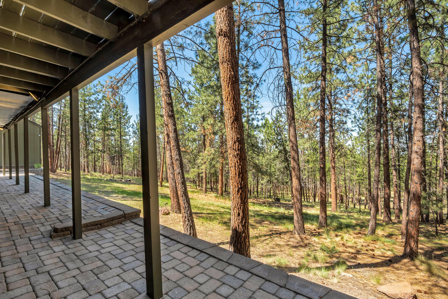 Saddleback - Residential