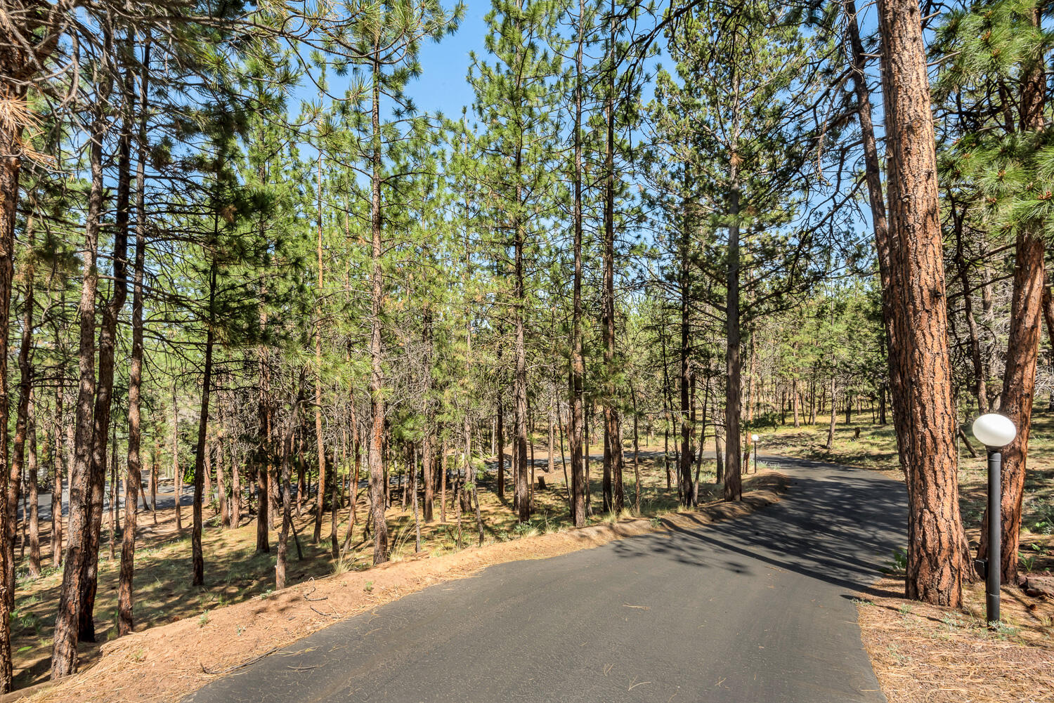 Saddleback - Residential