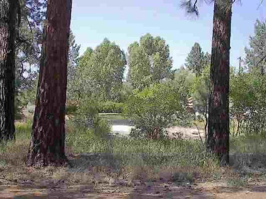 Excellent Homesite, Combined Dimensions:100x 100,Level With Aspen And Pine Trees.Corner Of Paved Park Ave.And Pine St.City Sewer & Water Available, Broker Owned.Bill Kalita Is Pres. Pres.Of Great Northern Prop.Also Licensed Age