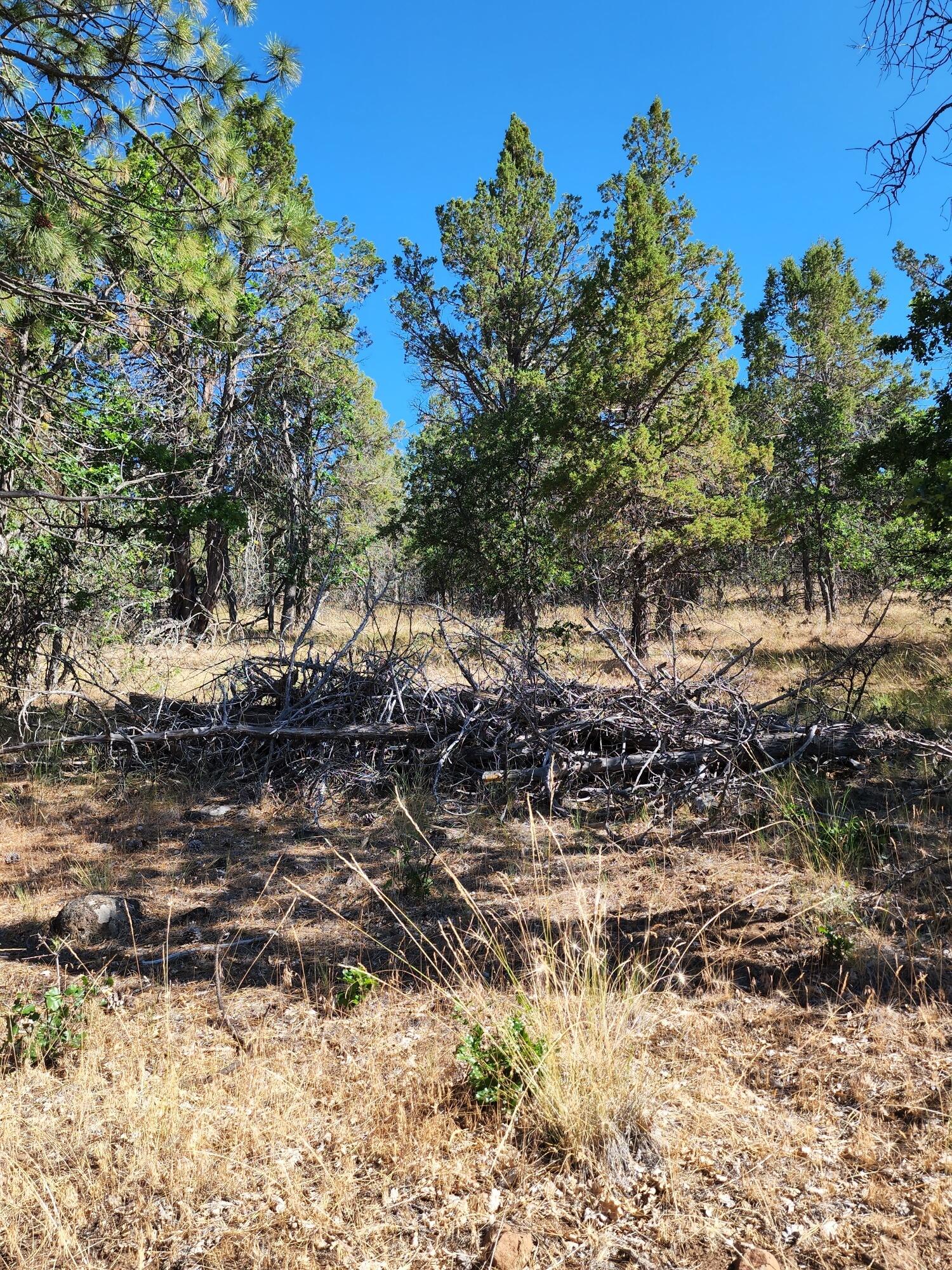 Round Lake Estates - Land