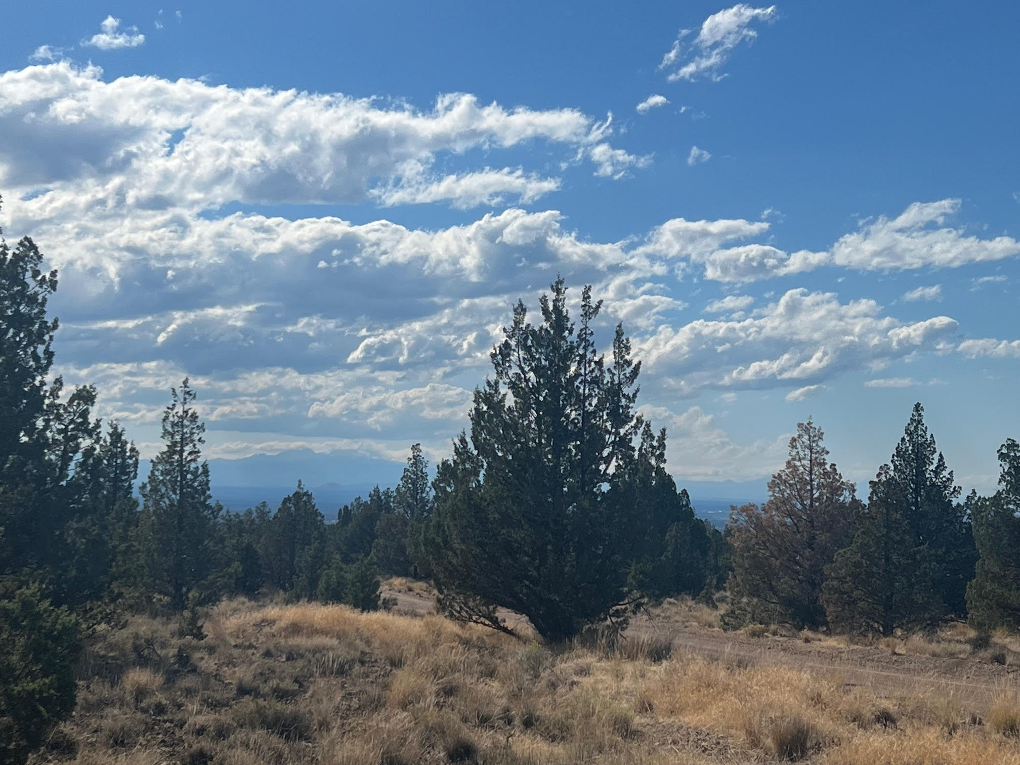 Juniper Acres - Land