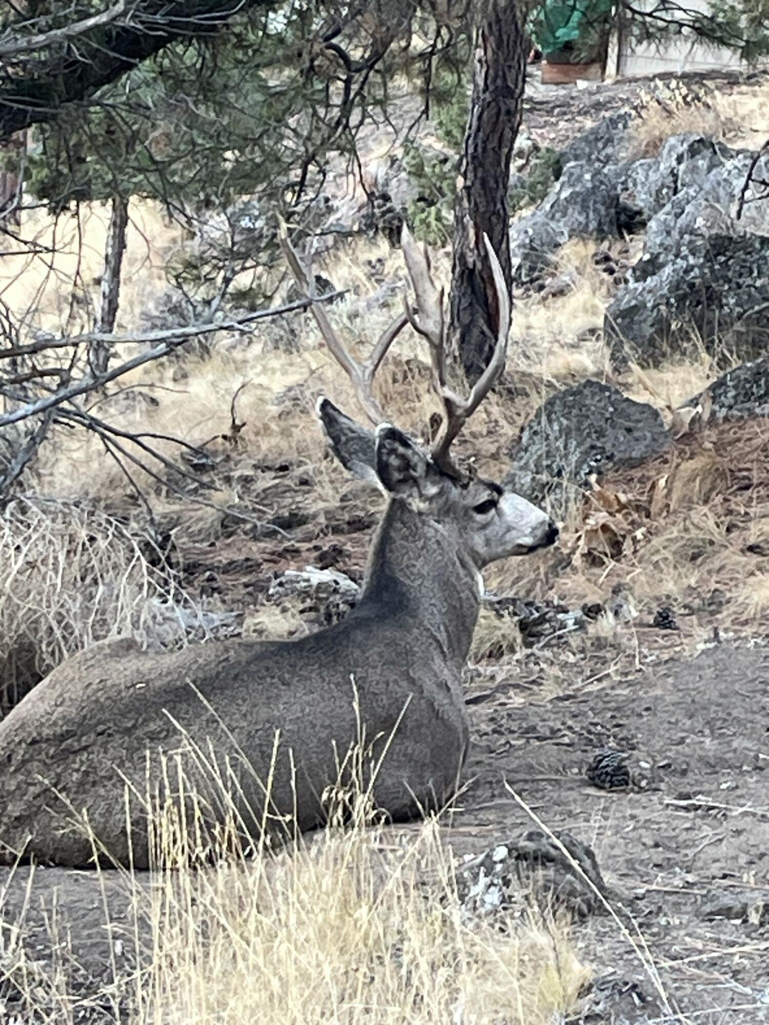 Rivers Edge Village - Land