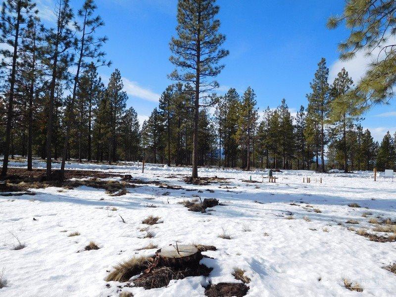 Three Pines Ridge - Land