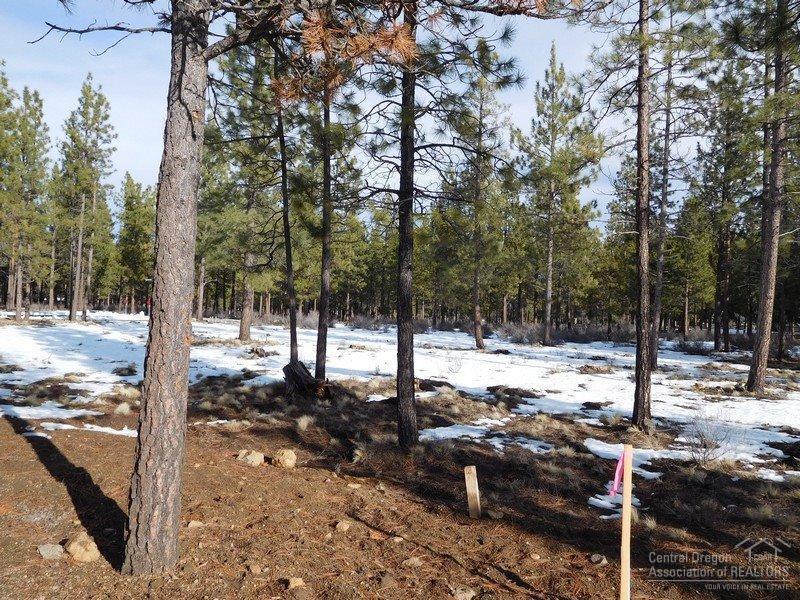 Three Pines Ridge - Land