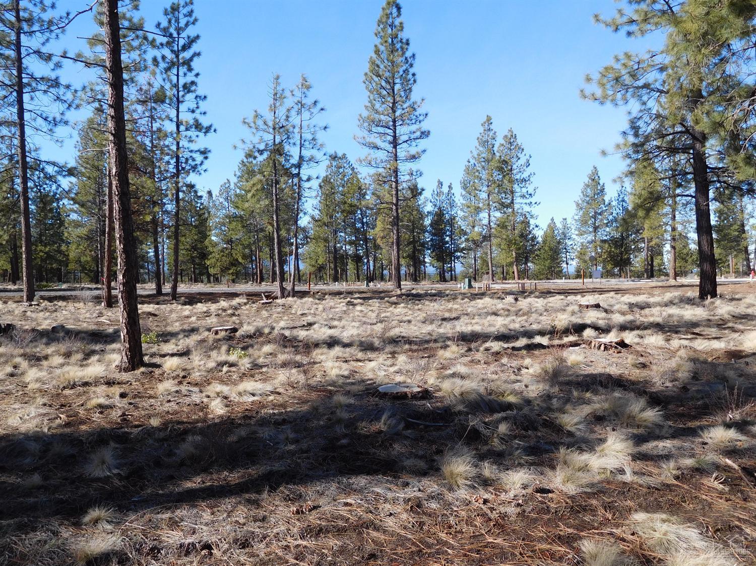 Three Pines Ridge - Land