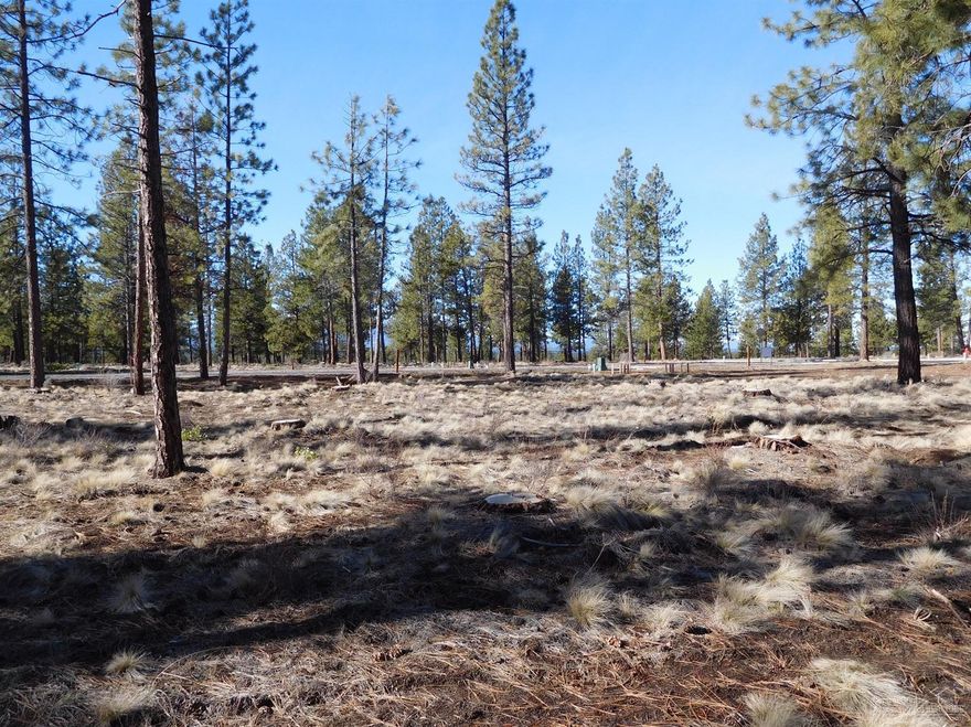 Three Pines Ridge, Bends newest NW premier community consisting of flat homesites that sit just at the edge of the UGB. Build your dream home surrounded with large ponderosa pine trees, peek-a-boo mountain views from this lot, higher end quality construction and upscale homes nearby. Enjoy the easy access to Shevlin Park trail system for hiking, biking & running. Come visit Three Pines Ridge to really capture the feeling of Bends newest neighborhood.