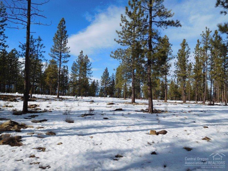 Three Pines Ridge - Land