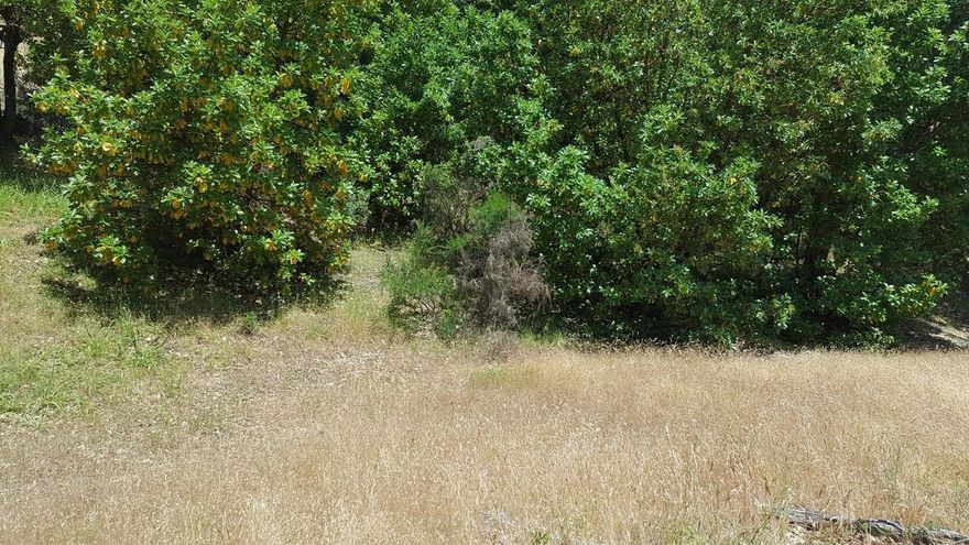 Opportunity is here at a price you can afford! Located in Northwest Grants Pass, this subdivision lot is in an area of nice homes and is ready for you to start building your new home!