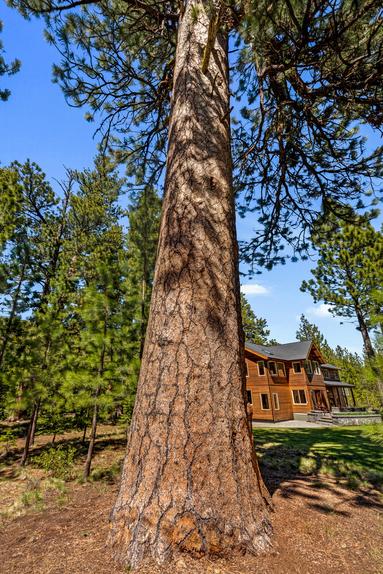 Skyline - Residential