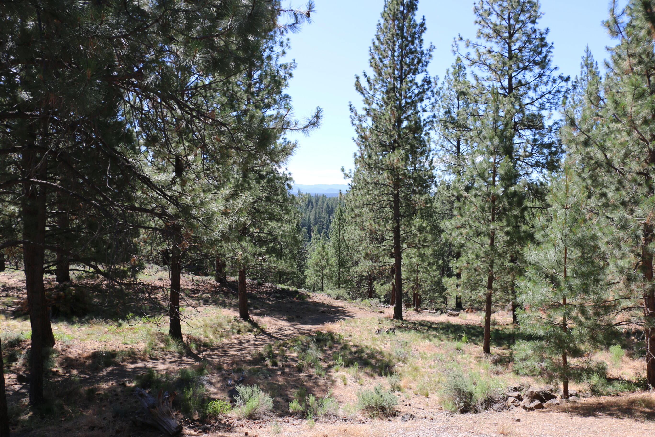 Inn Of The 7th - Residential