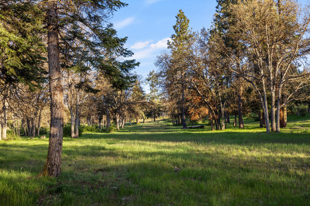 Running YResort - Residential