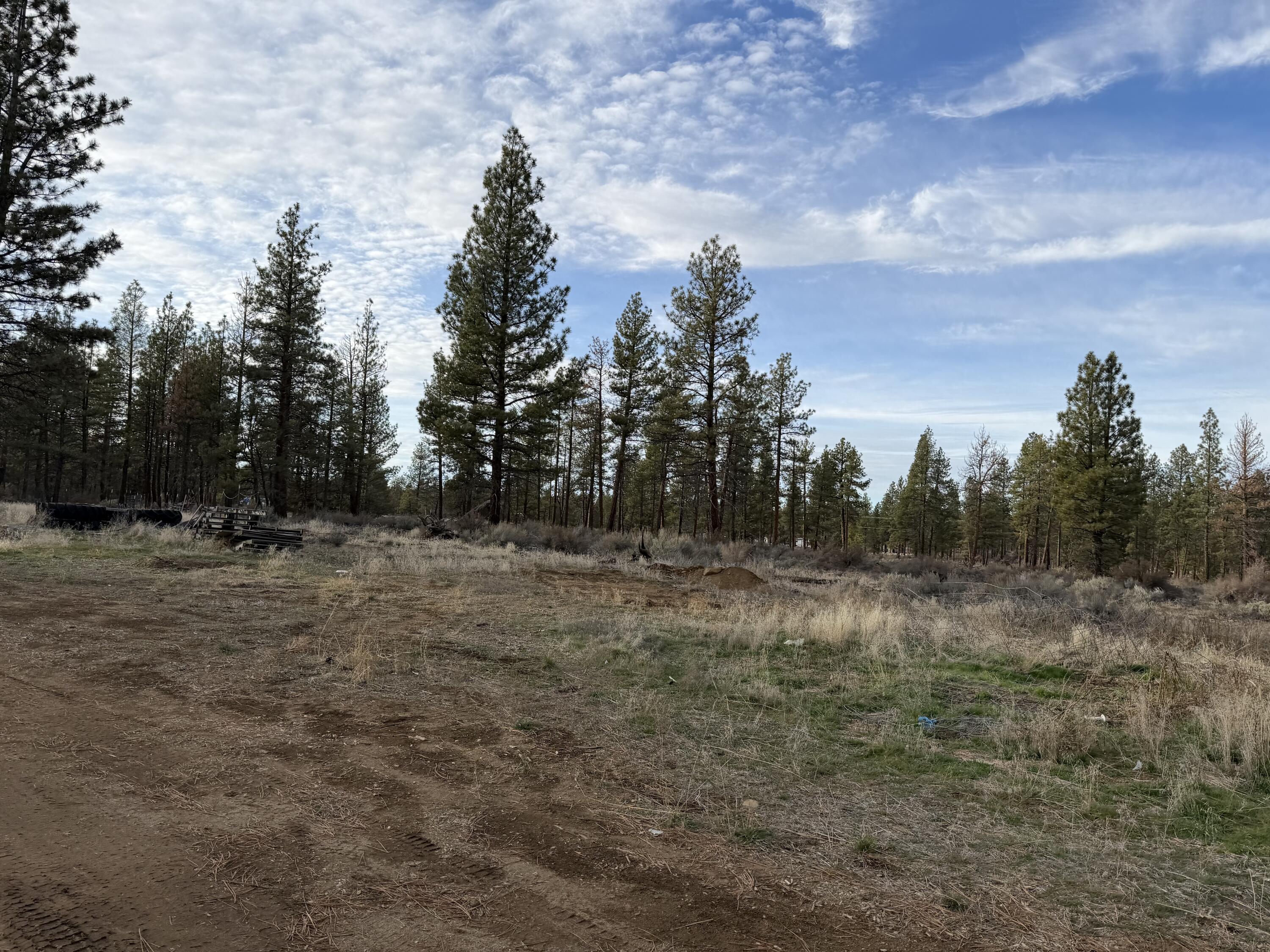 Klamath Forest Estates -First Addition - Land