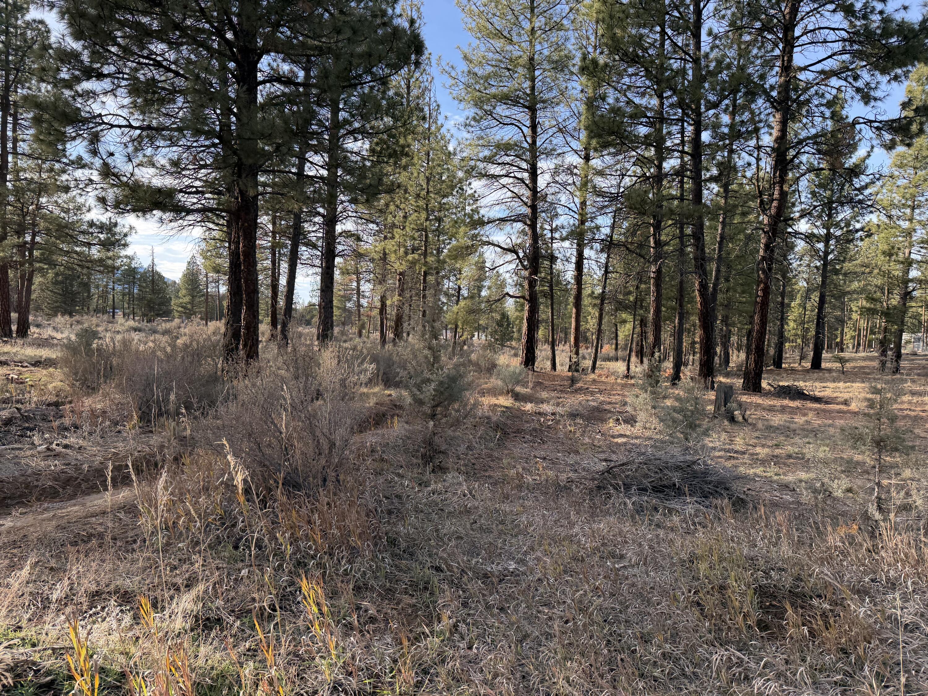 Klamath Forest Estates -First Addition - Land