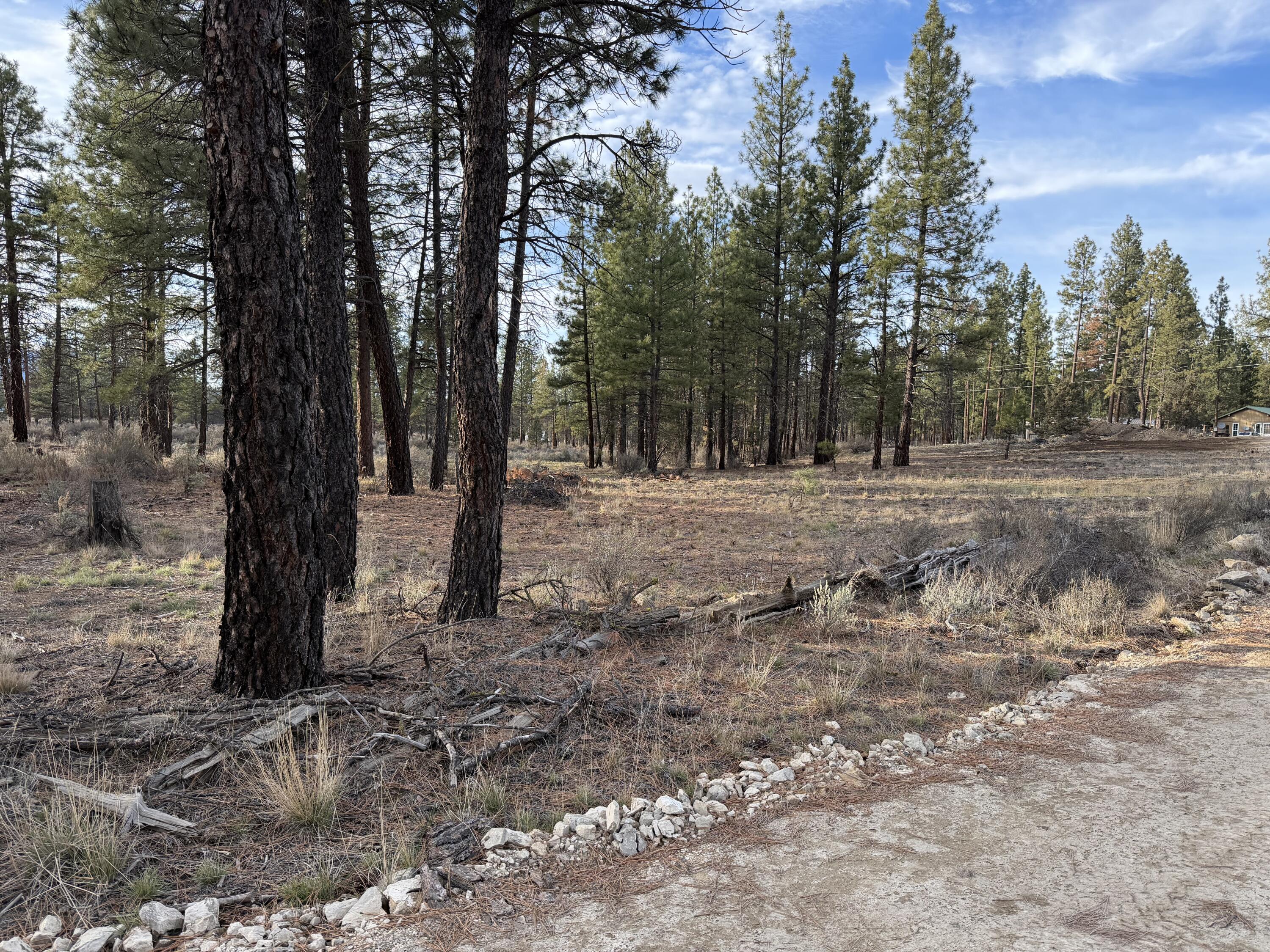Klamath Forest Estates -First Addition - Land
