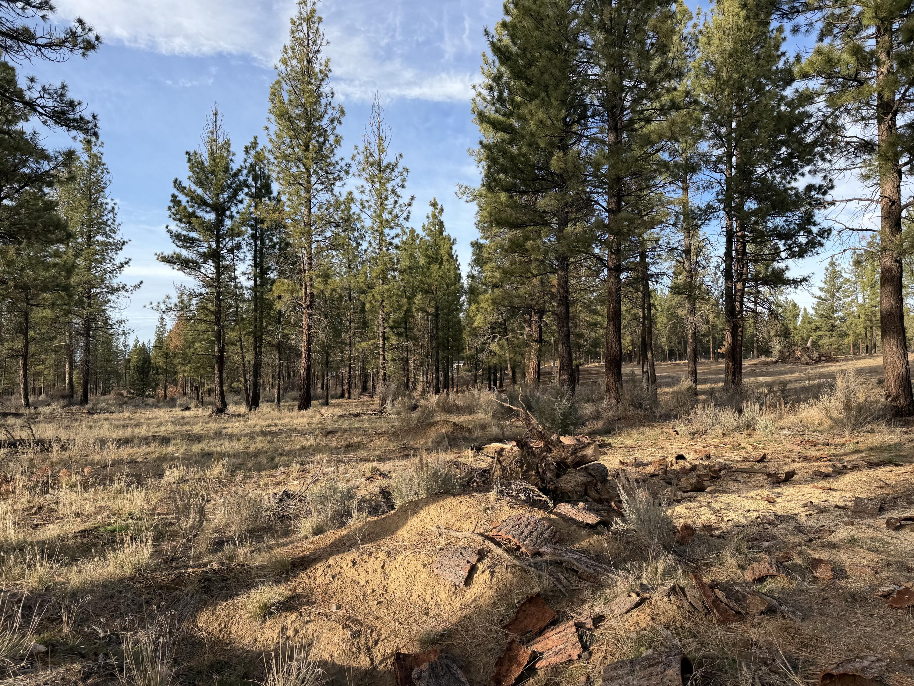 Klamath Forest Estates -First Addition - Land