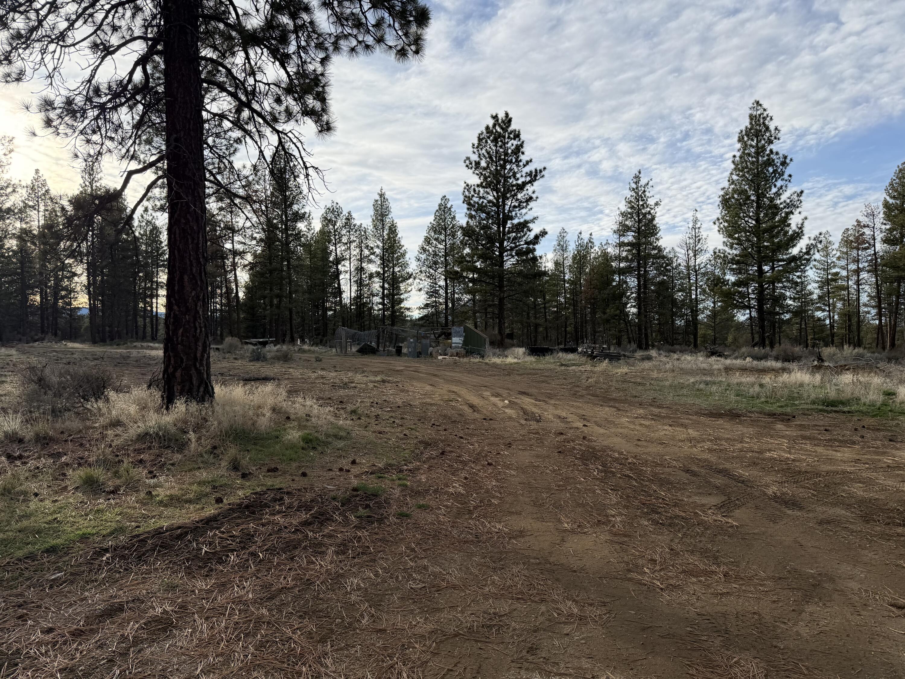 Klamath Forest Estates -First Addition - Land