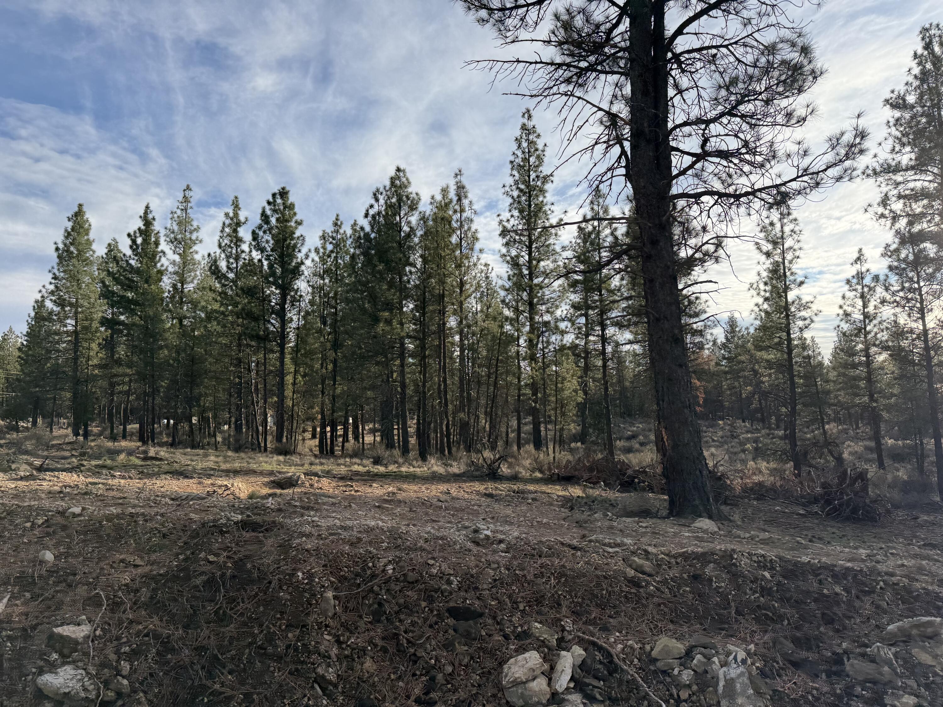Klamath Forest Estates -First Addition - Land