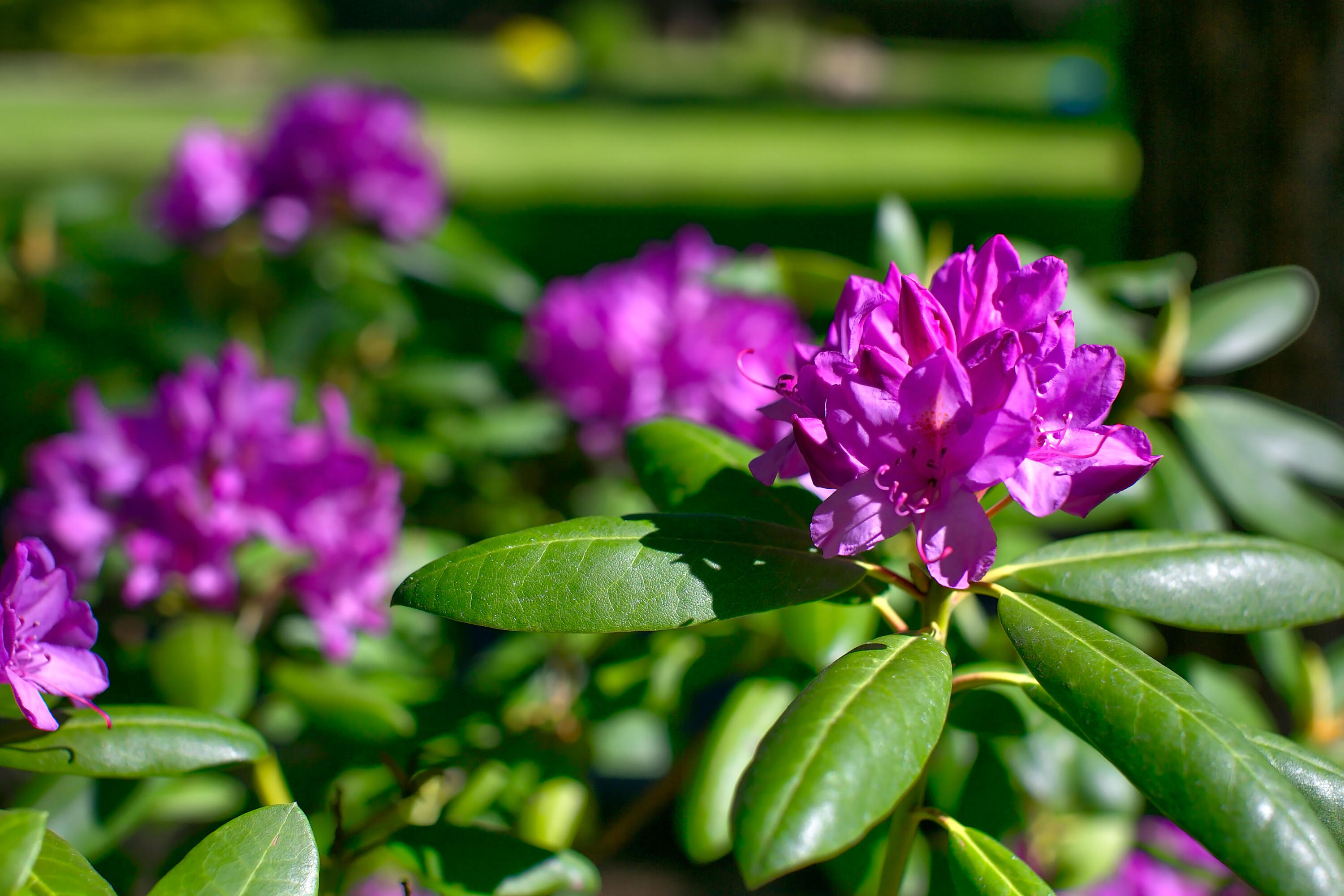 Inn Of The 7th - Residential