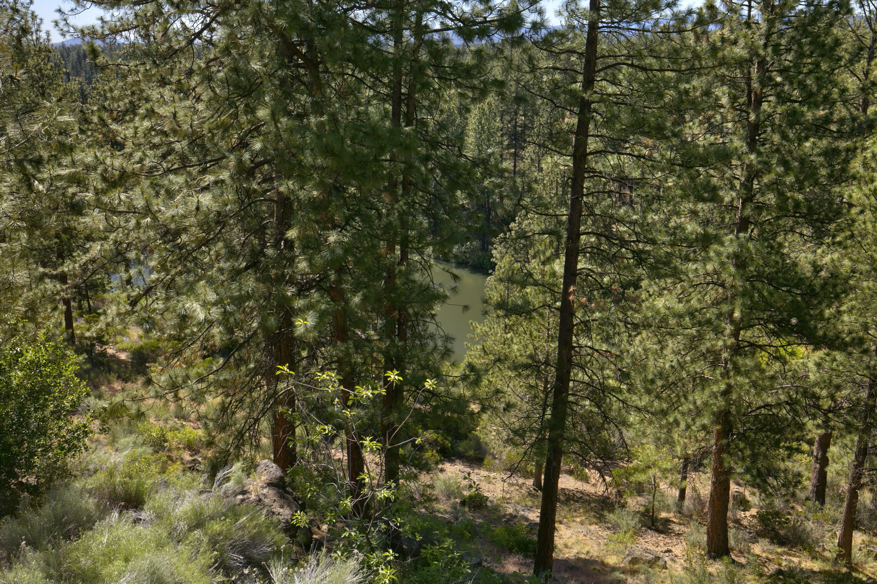 Inn Of The 7th - Residential