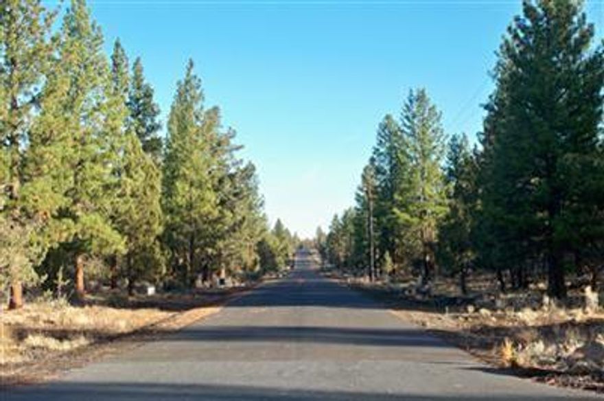 What you have been waiting for! Bring your builder and choose the perfect location among the trees on this 2.5 acre parcel for your new home.